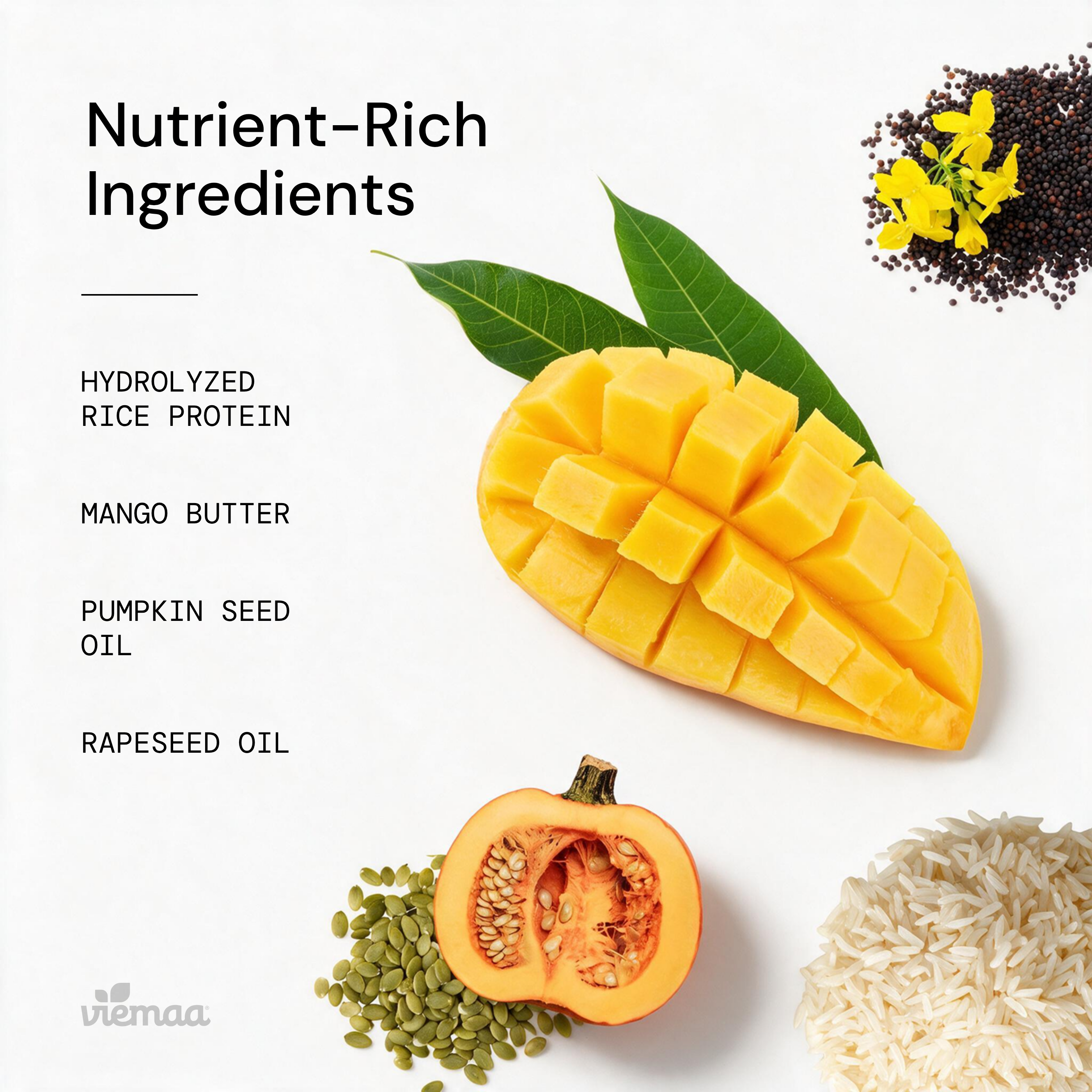 Infographic displaying natural ingredients in viemaa's bond shampoo, such as hyrdolyzed rice protein, mango butter, pumpkin seed oil, and rapeseed oil. 